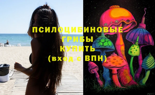 МДМА Алексеевка