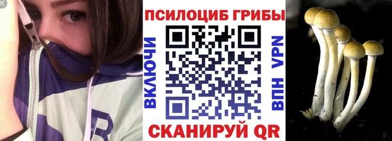 Купить закладки  Миньяр  Галлюциногенные грибы GOLDEN TEACHER 